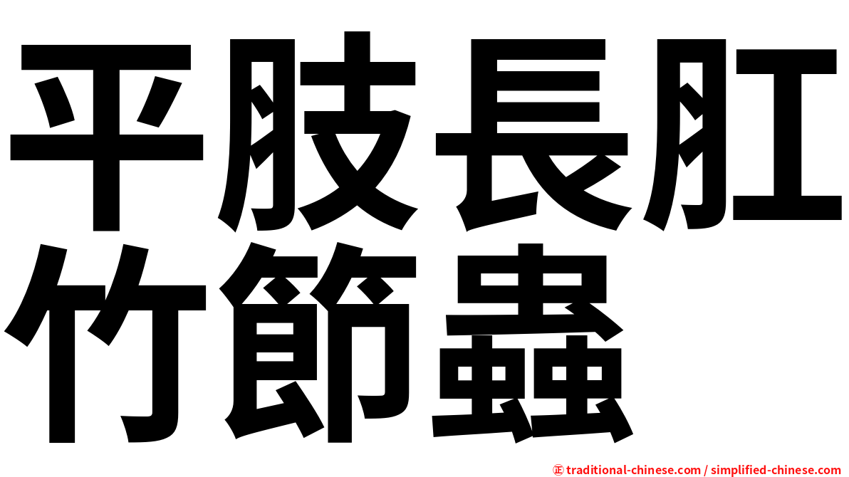 平肢長肛竹節蟲