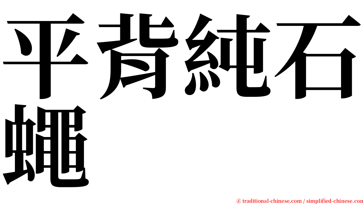 平背純石蠅 serif font