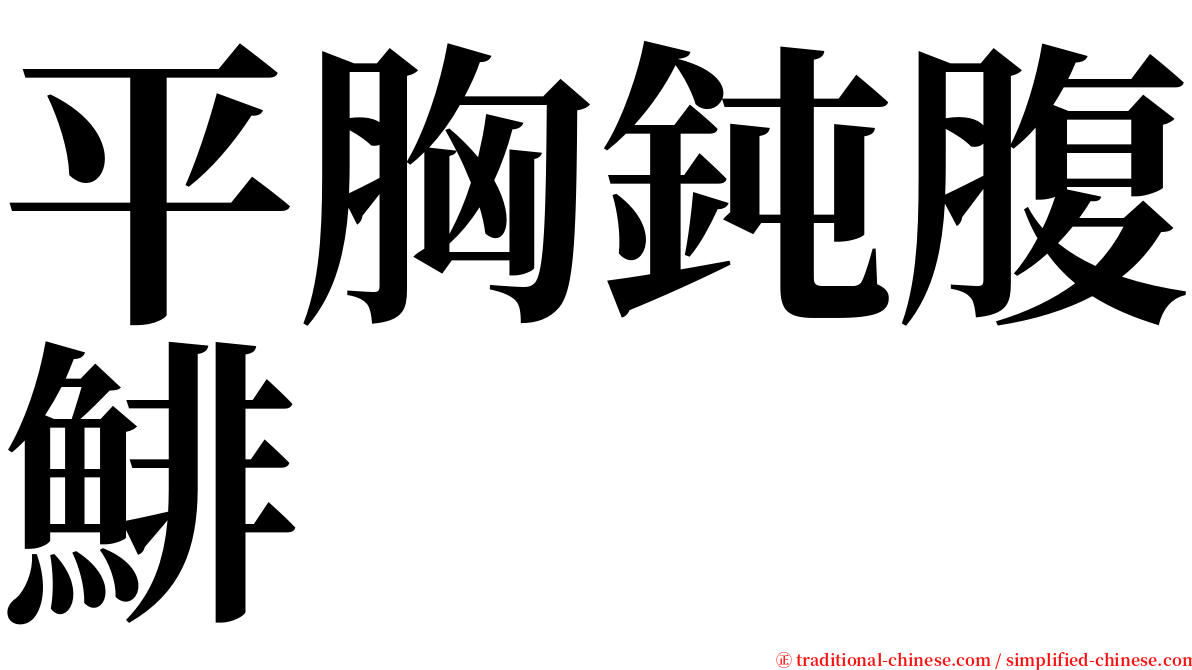 平胸鈍腹鯡 serif font