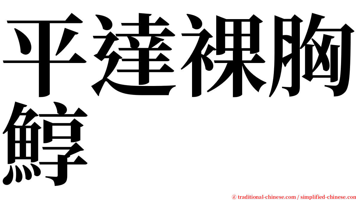 平達裸胸鯙 serif font