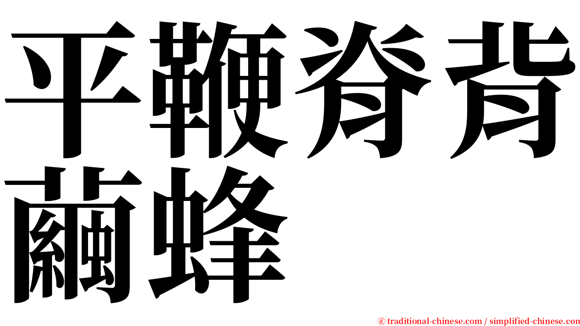 平鞭脊背繭蜂 serif font