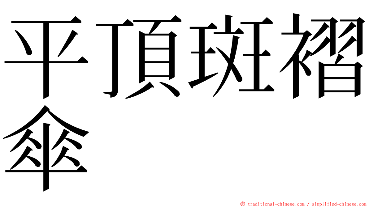 平頂斑褶傘 ming font