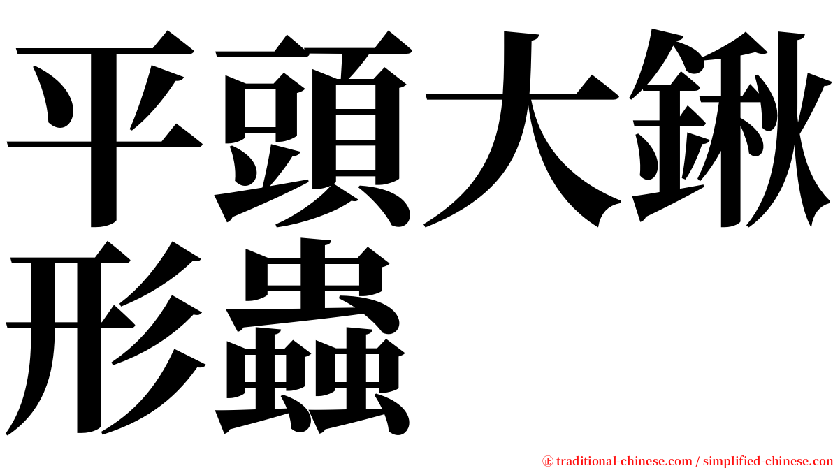 平頭大鍬形蟲 serif font