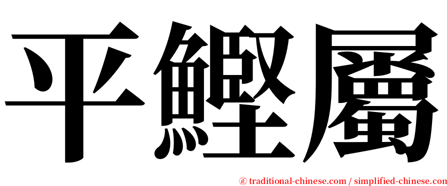 平鰹屬 serif font