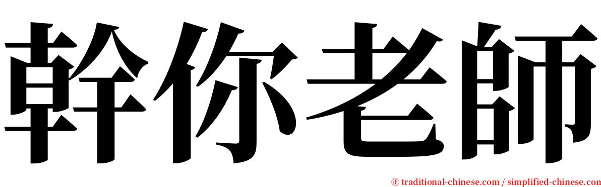 幹你老師 serif font