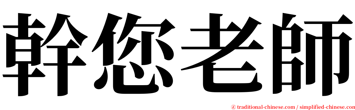 幹您老師 serif font