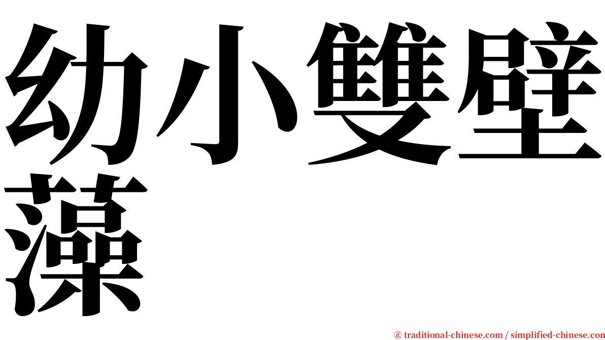 幼小雙壁藻 serif font