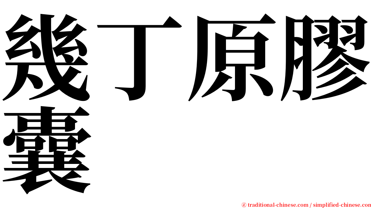 幾丁原膠囊 serif font