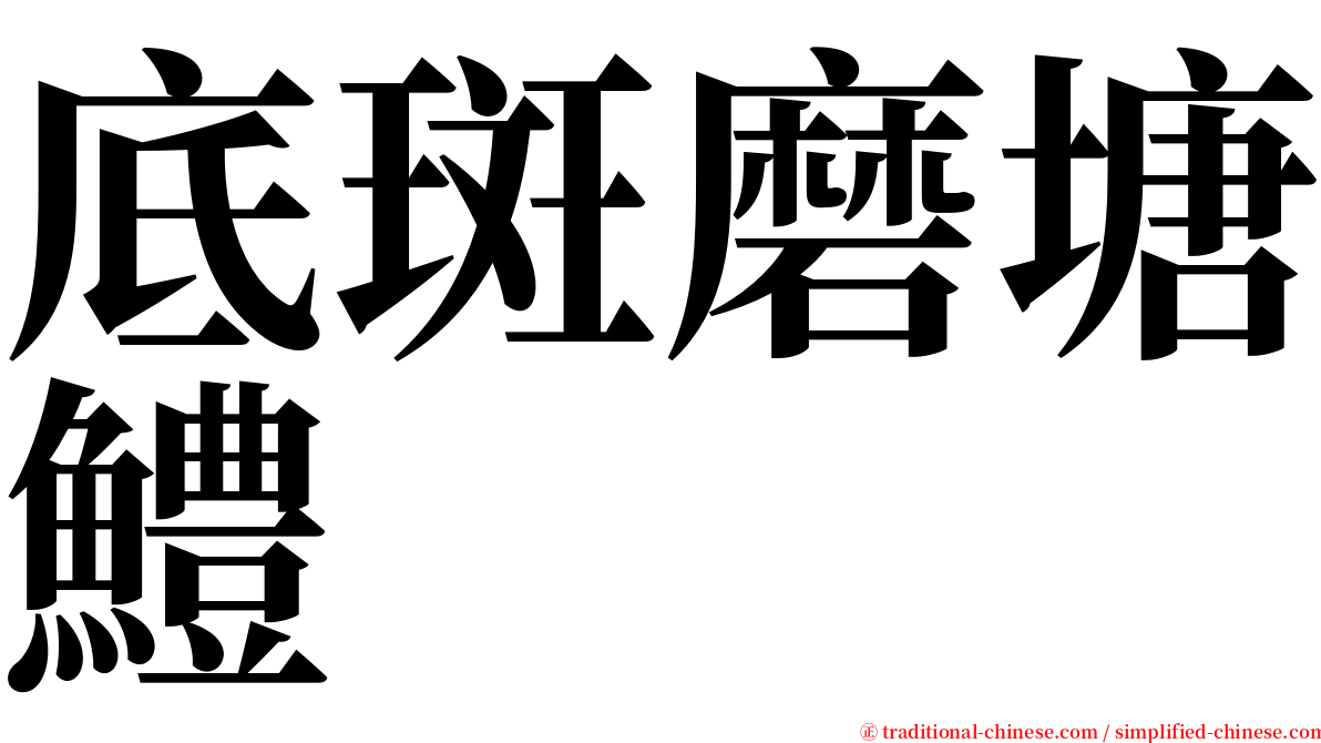 底斑磨塘鱧 serif font