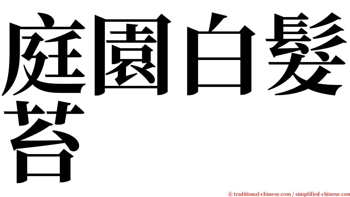 庭園白髮苔 serif font