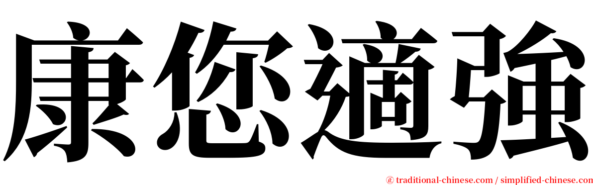 康您適強 serif font