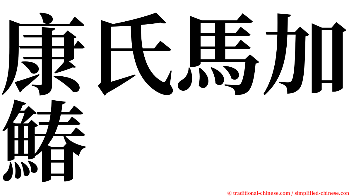 康氏馬加鰆 serif font