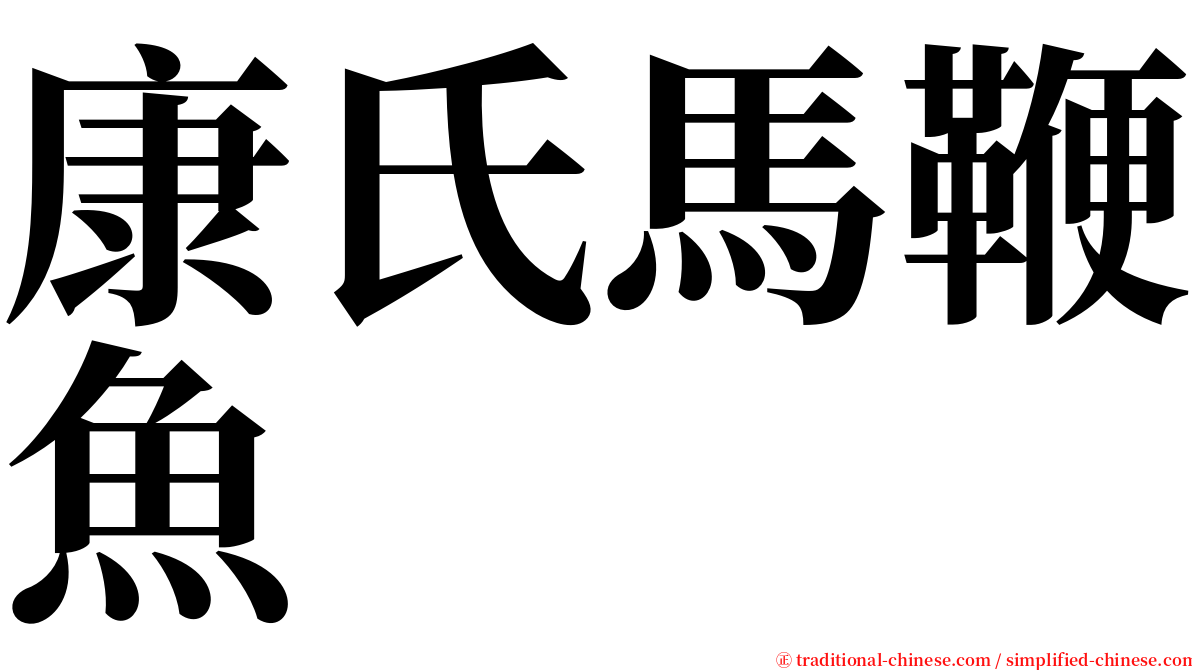 康氏馬鞭魚 serif font