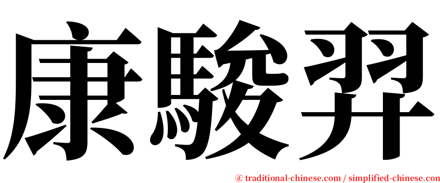 康駿羿 serif font
