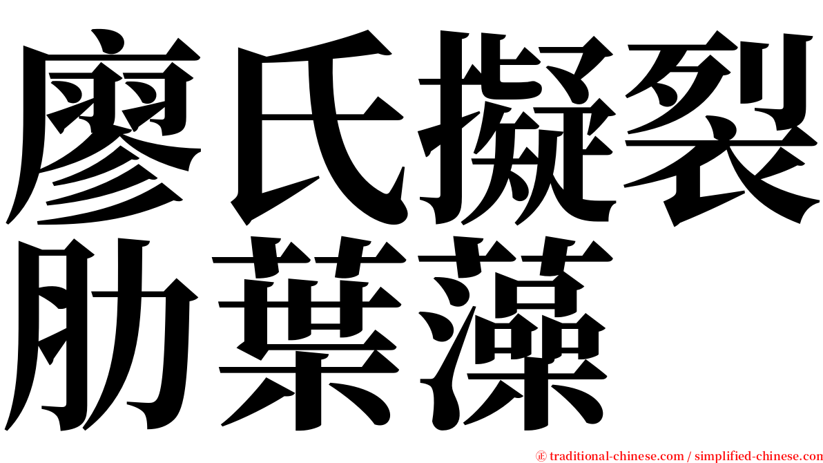 廖氏擬裂肋葉藻 serif font