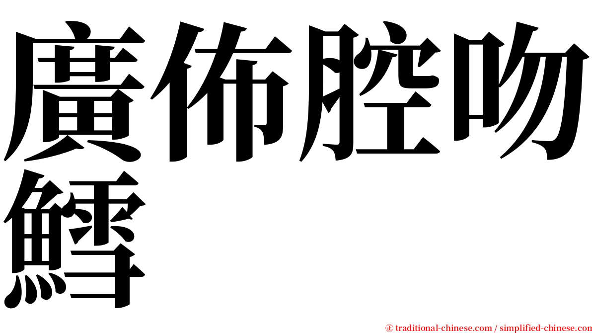 廣佈腔吻鱈 serif font