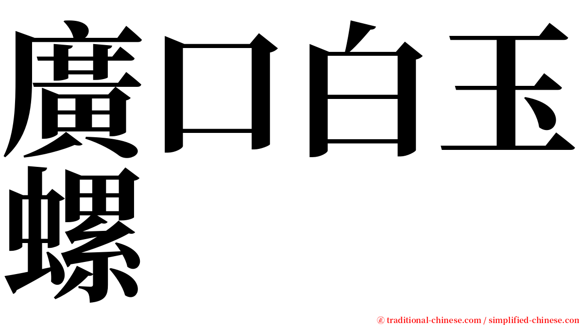 廣口白玉螺 serif font