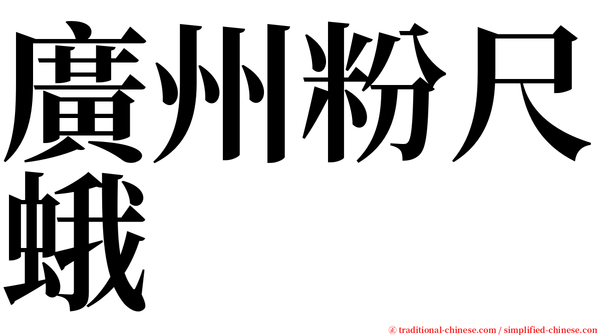 廣州粉尺蛾 serif font