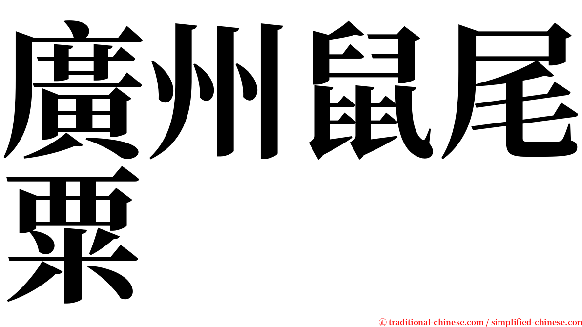 廣州鼠尾粟 serif font