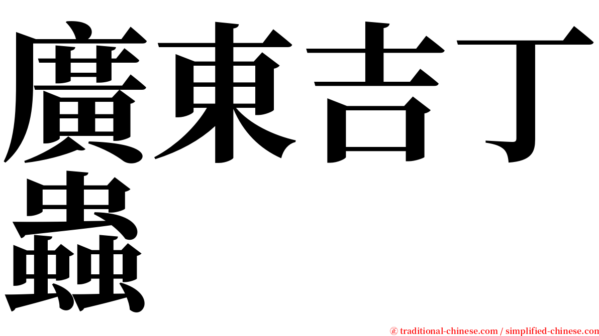 廣東吉丁蟲 serif font