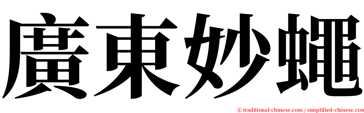 廣東妙蠅 serif font