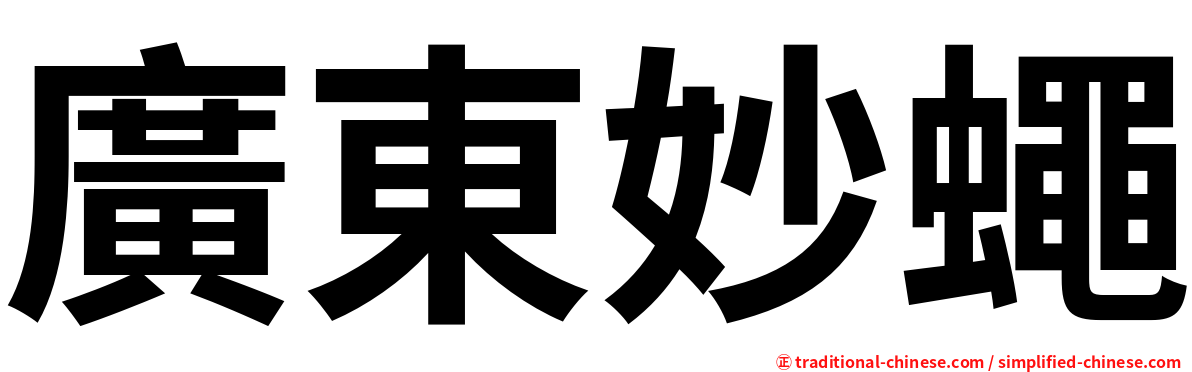 廣東妙蠅