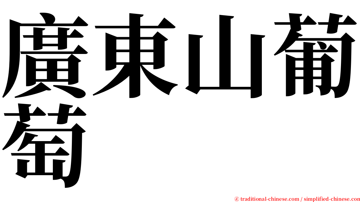 廣東山葡萄 serif font