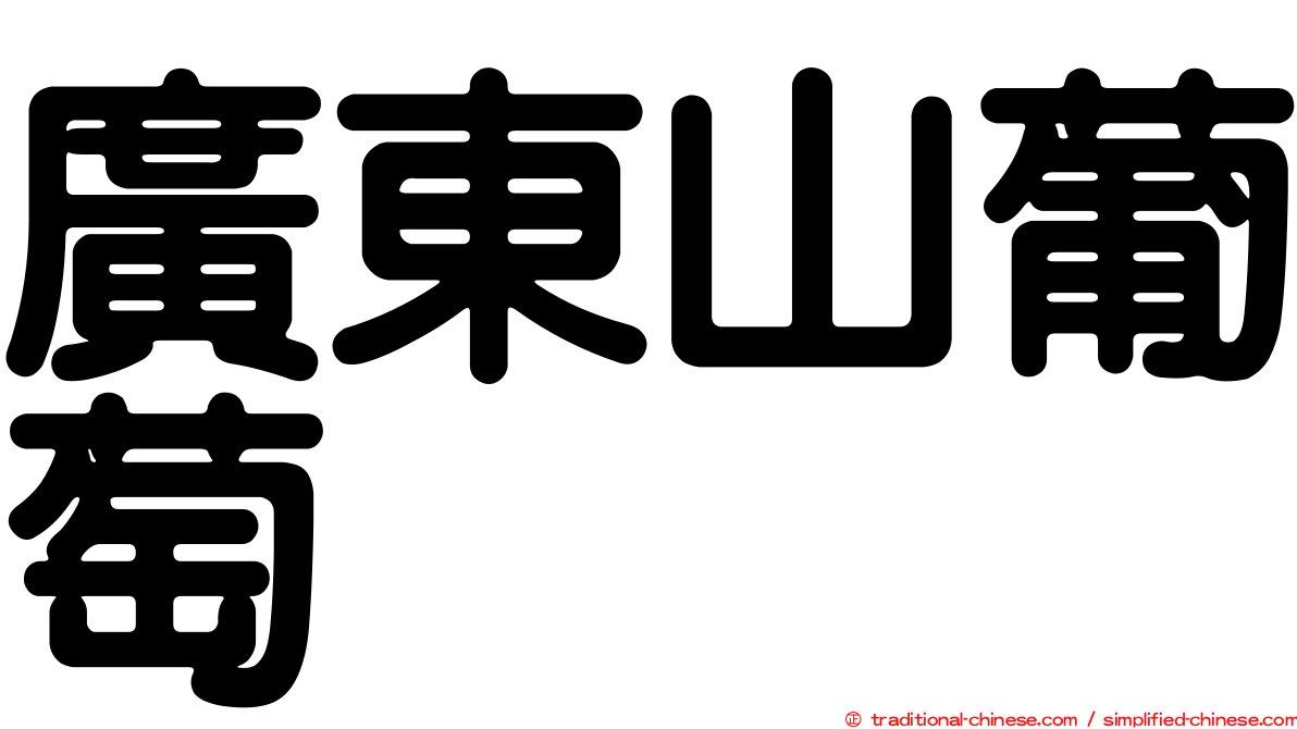 廣東山葡萄