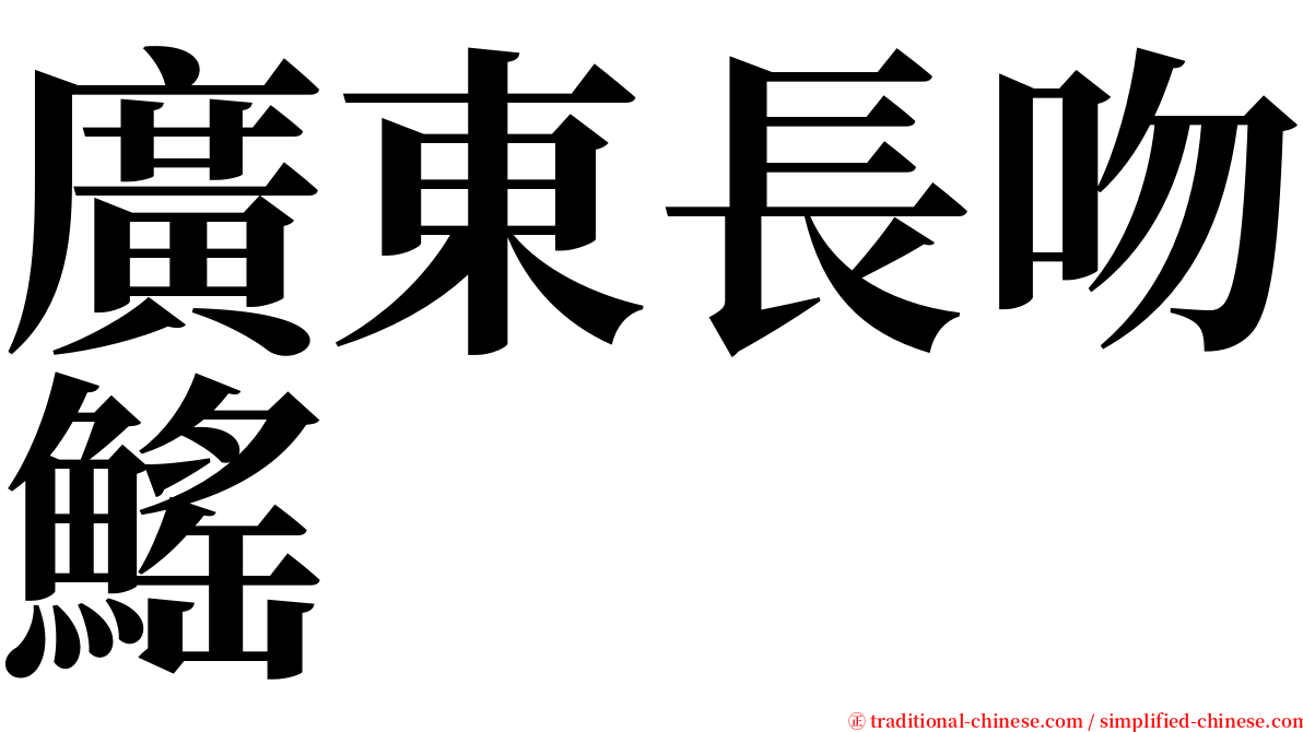 廣東長吻鰩 serif font