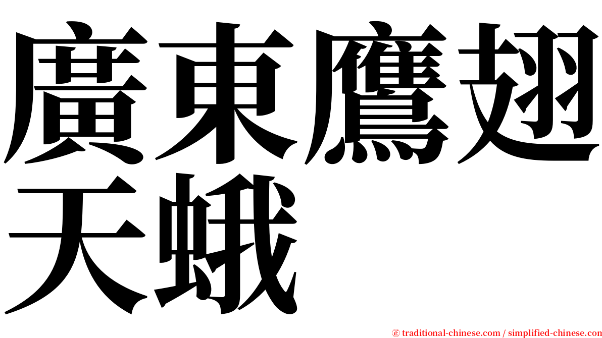 廣東鷹翅天蛾 serif font