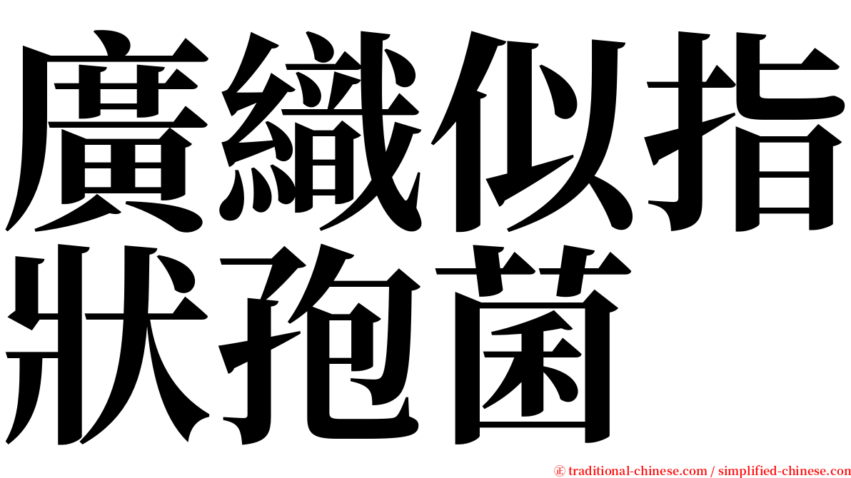 廣織似指狀孢菌 serif font
