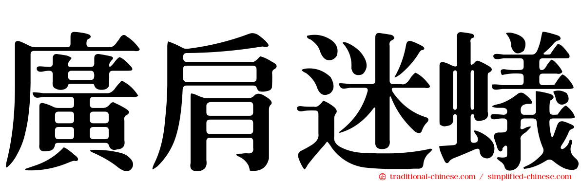 廣肩迷蟻