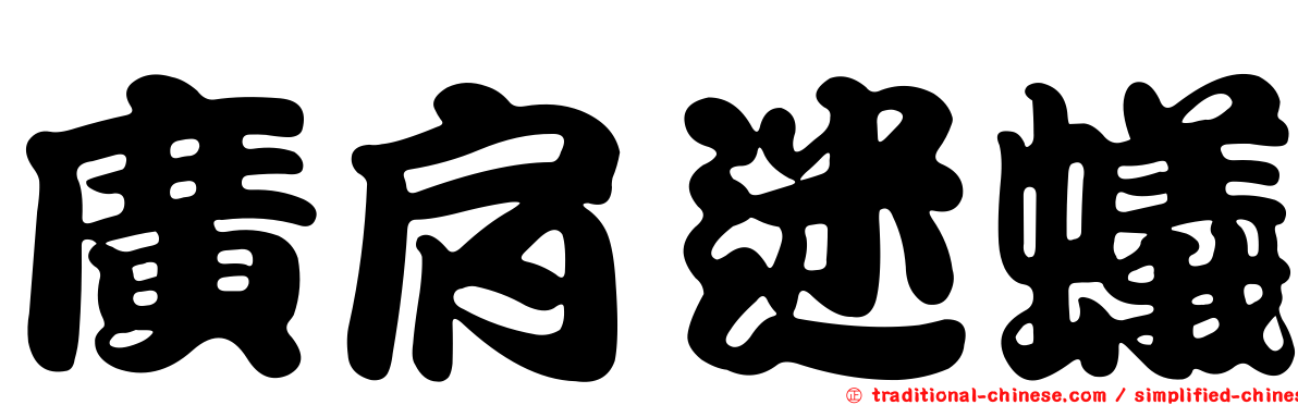 廣肩迷蟻