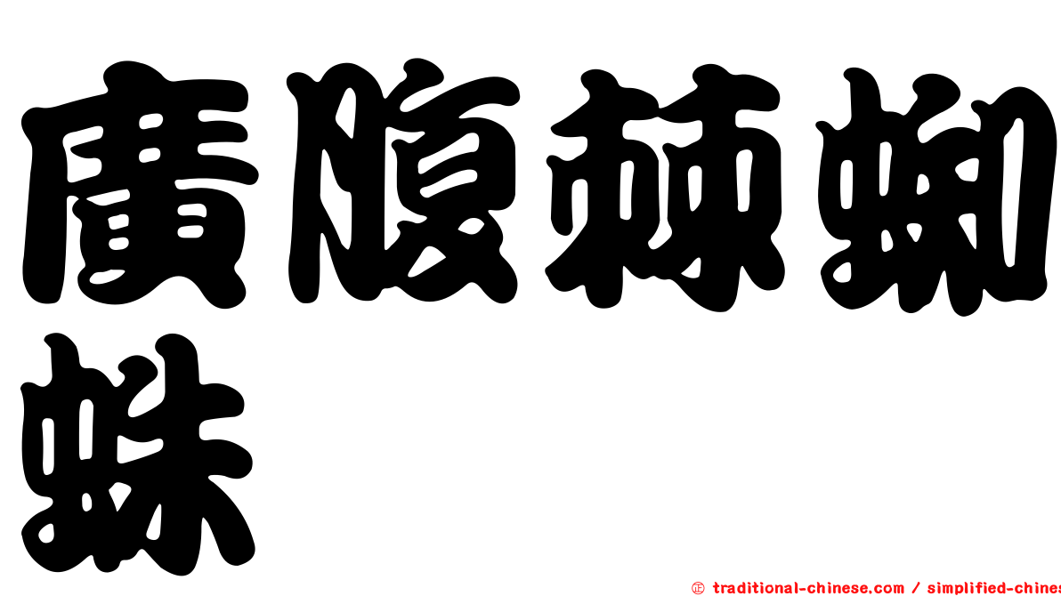 廣腹棘蜘蛛