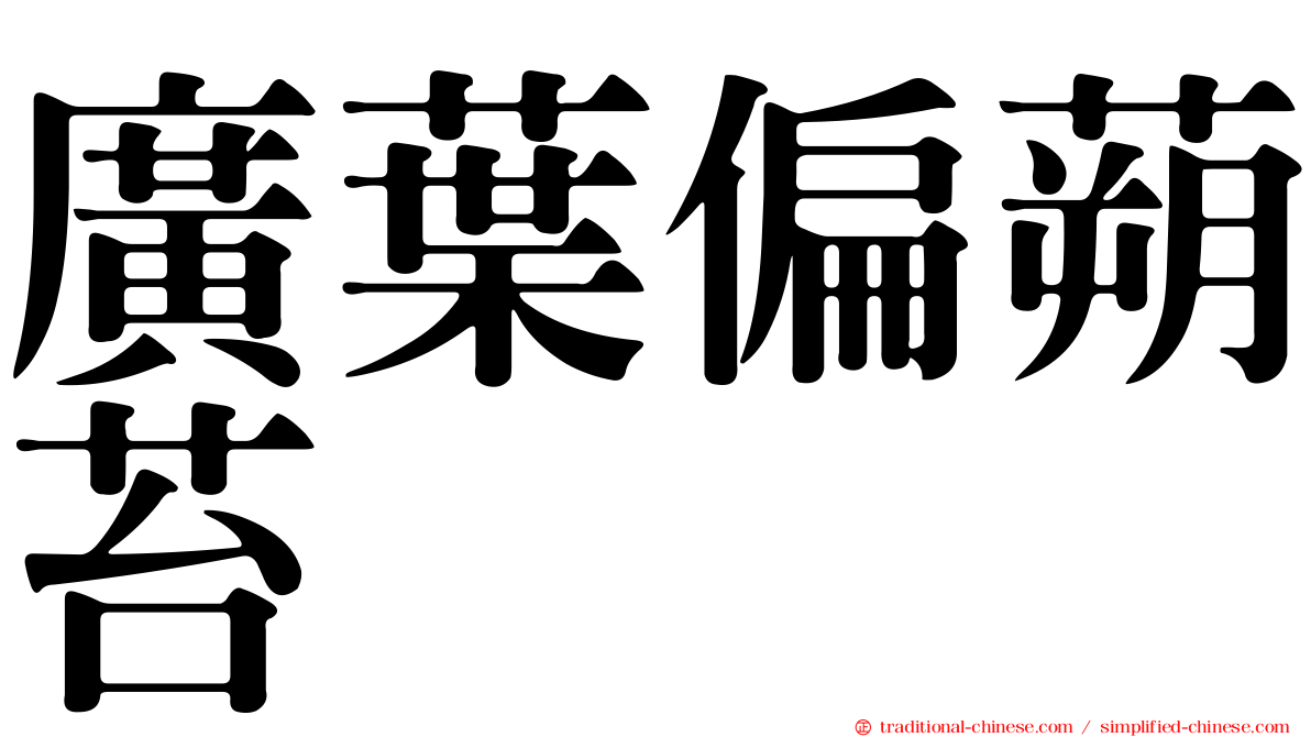 廣葉偏蒴苔