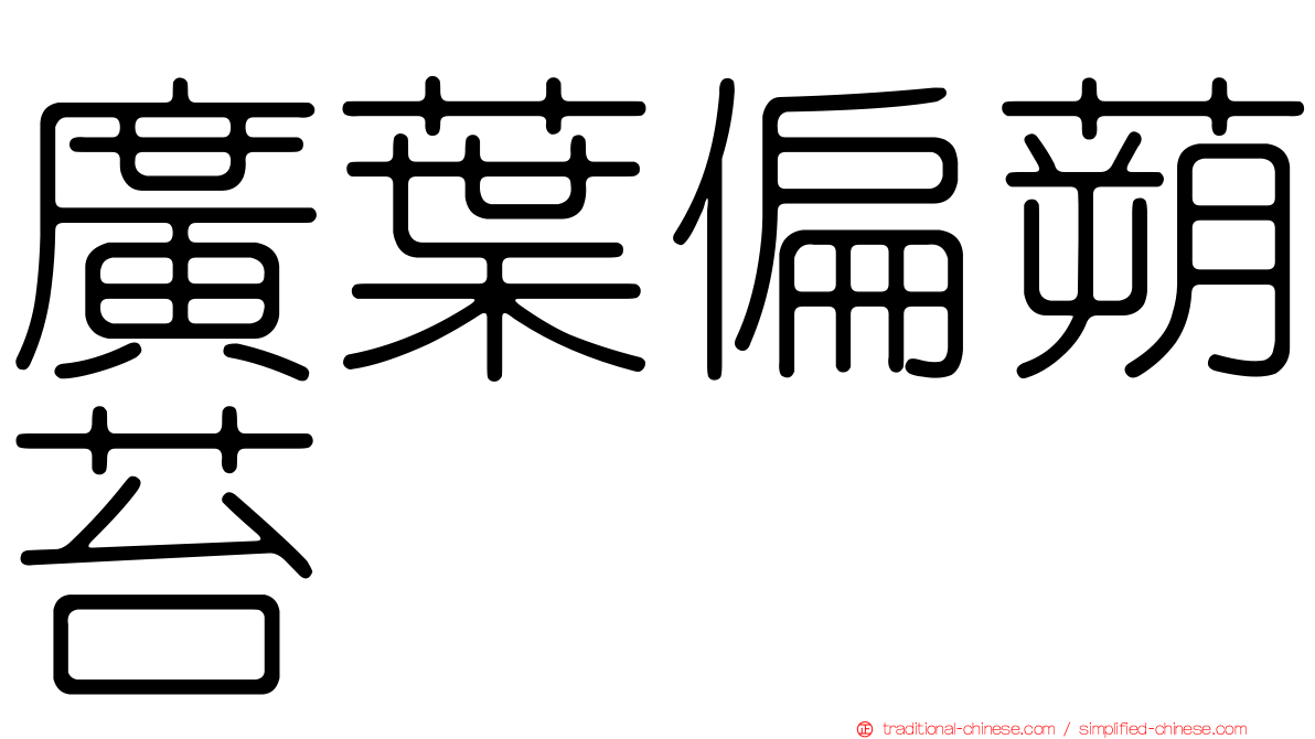 廣葉偏蒴苔