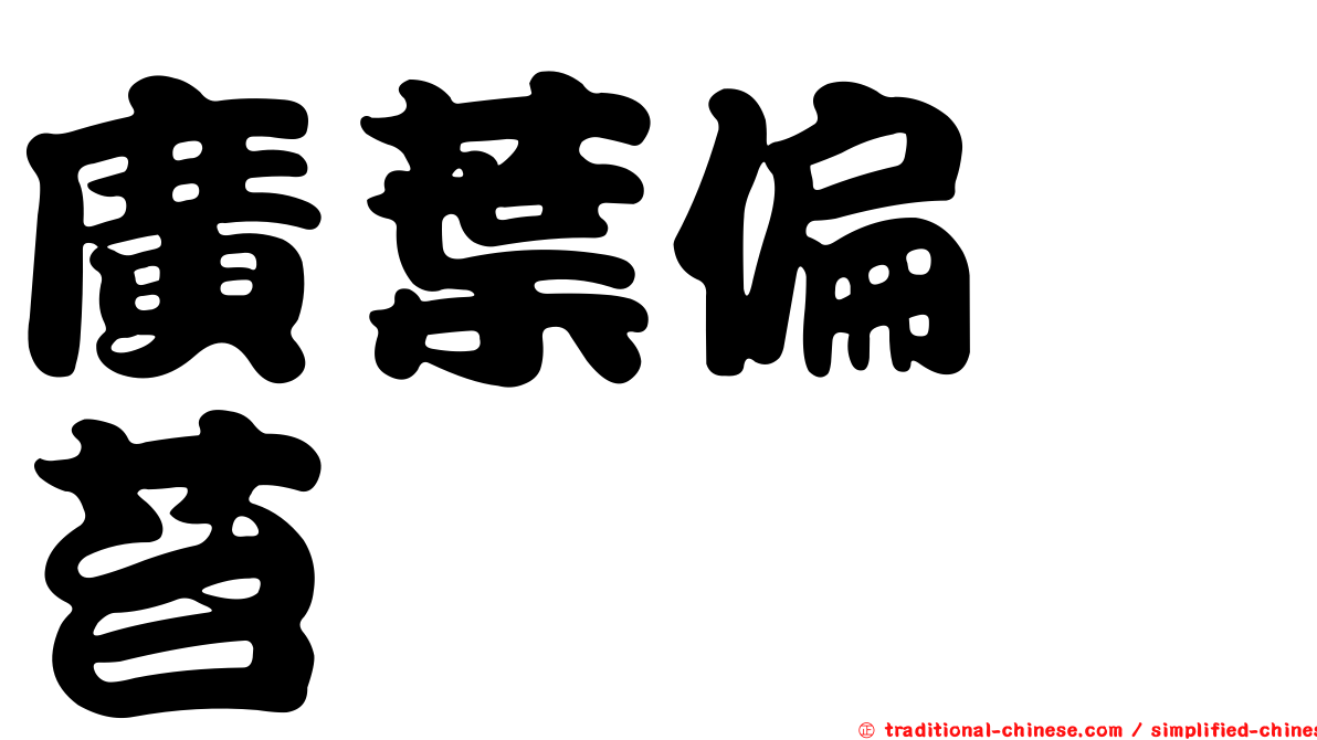 廣葉偏蒴苔
