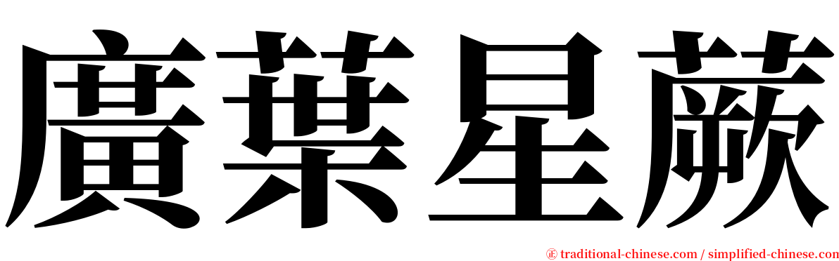 廣葉星蕨 serif font