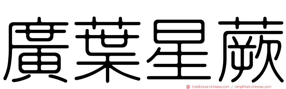 廣葉星蕨