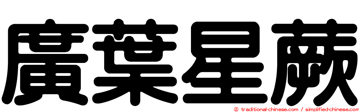 廣葉星蕨