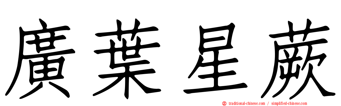 廣葉星蕨