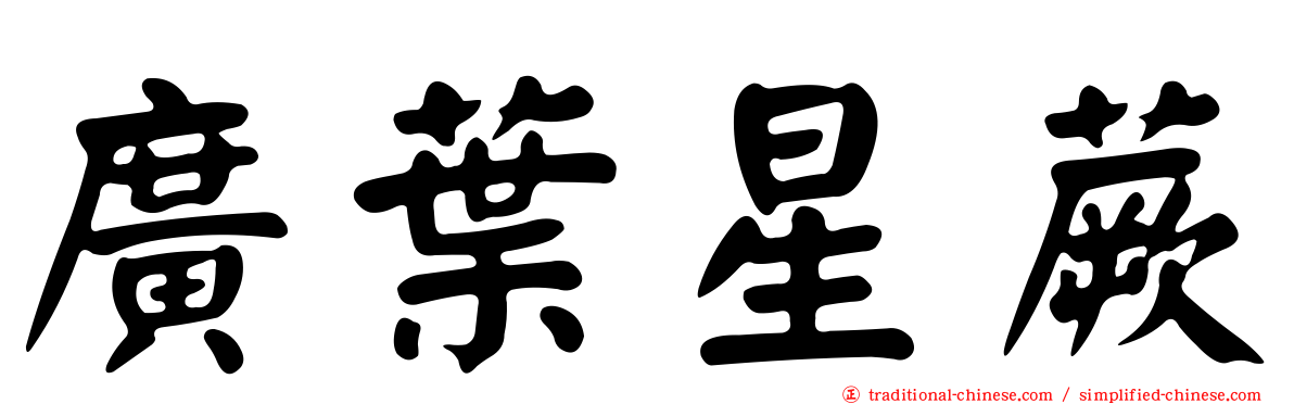 廣葉星蕨