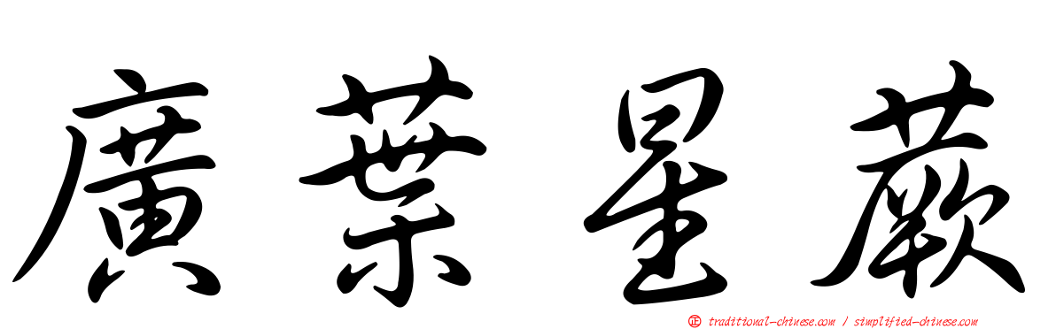 廣葉星蕨