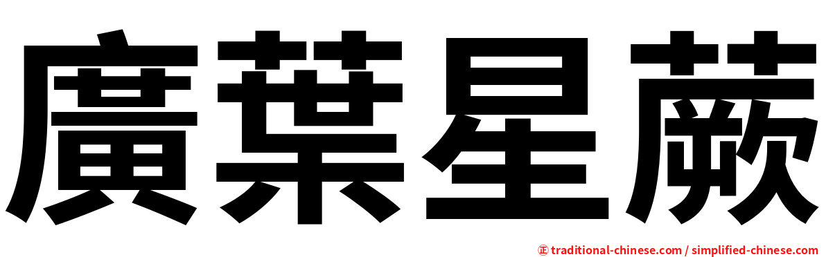 廣葉星蕨