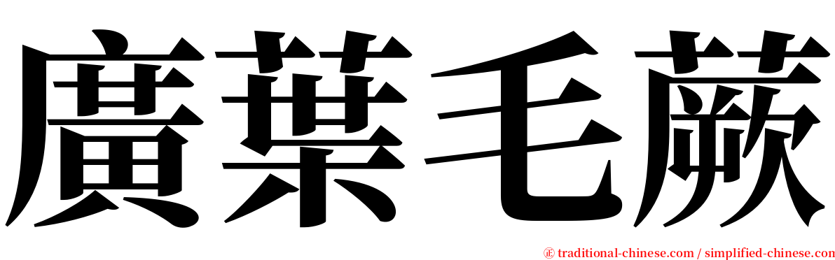 廣葉毛蕨 serif font
