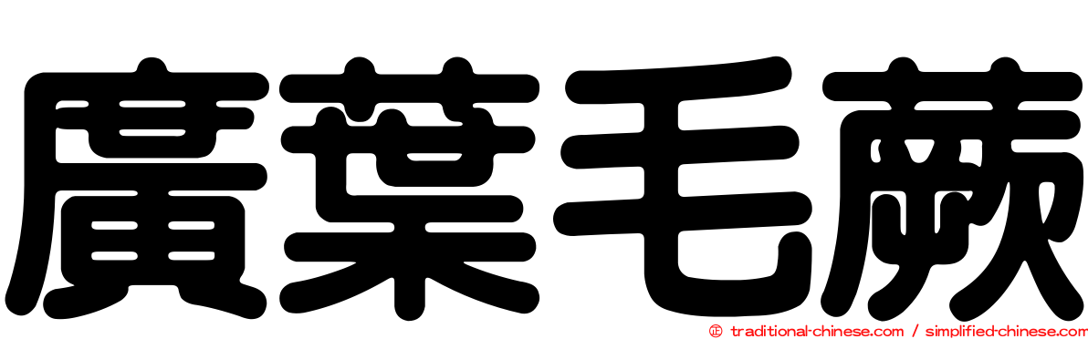 廣葉毛蕨