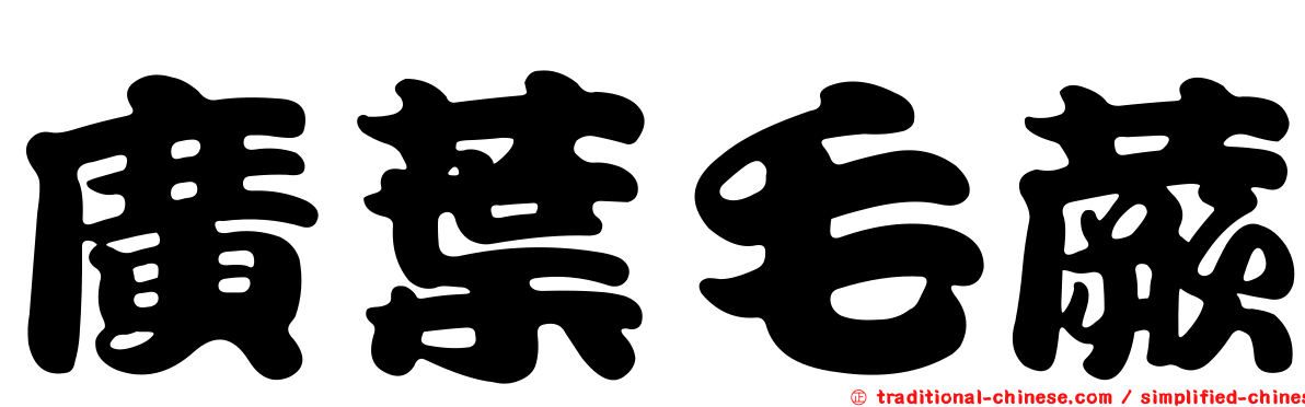 廣葉毛蕨