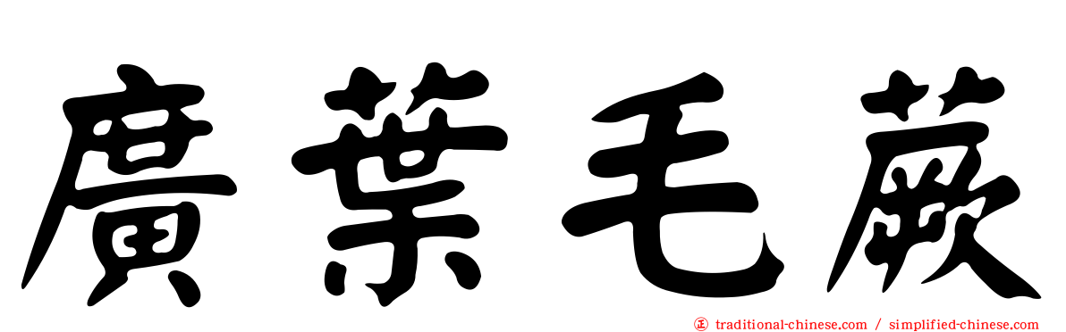 廣葉毛蕨
