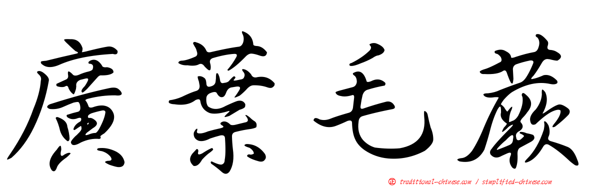 廣葉毛蕨