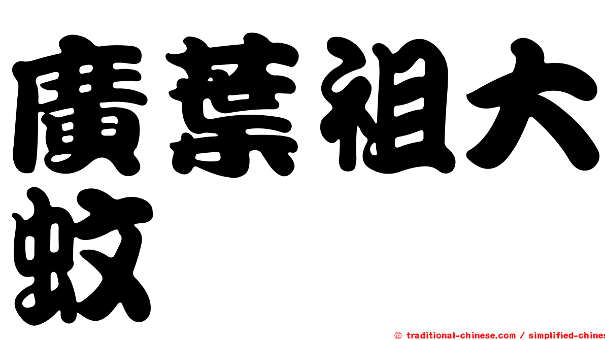 廣葉祖大蚊